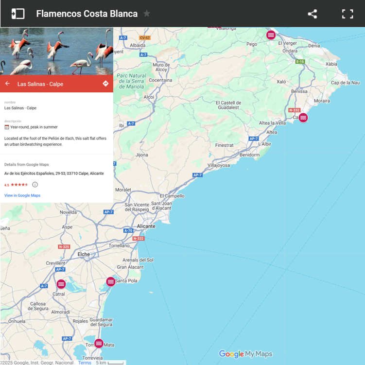 Featured in the website’s interactive section, the G-Maps Directories are meant to help users easily locate points of interest across Costa Blanca