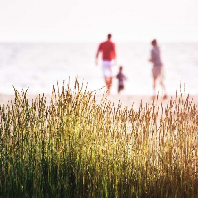 Family of three walking on a sandy beach at sunset, seen through sunlit grass on Costa Blanca | 📷 Dave Gerber - Pixabay